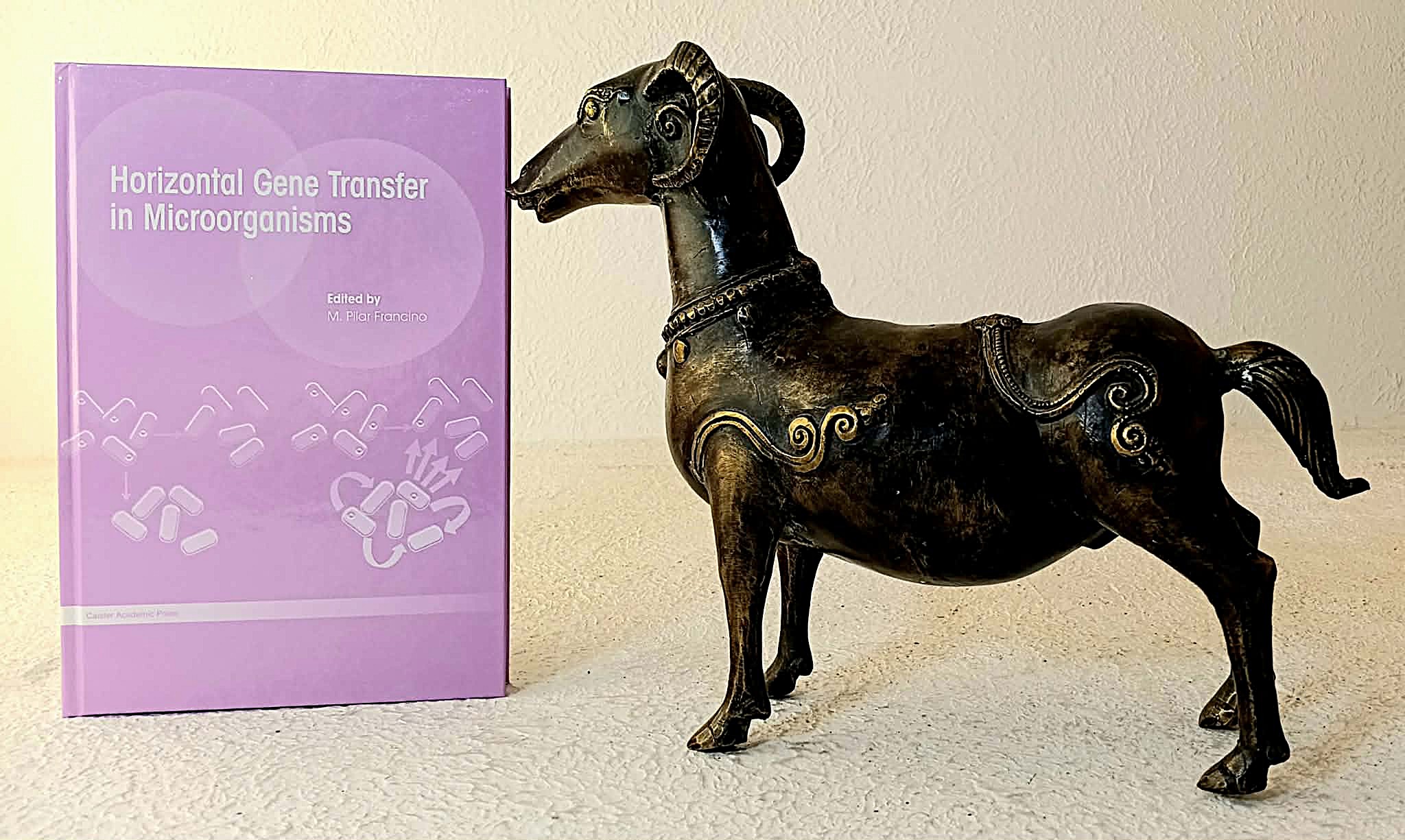 Horizontal Gene Transfer in Microorganisms