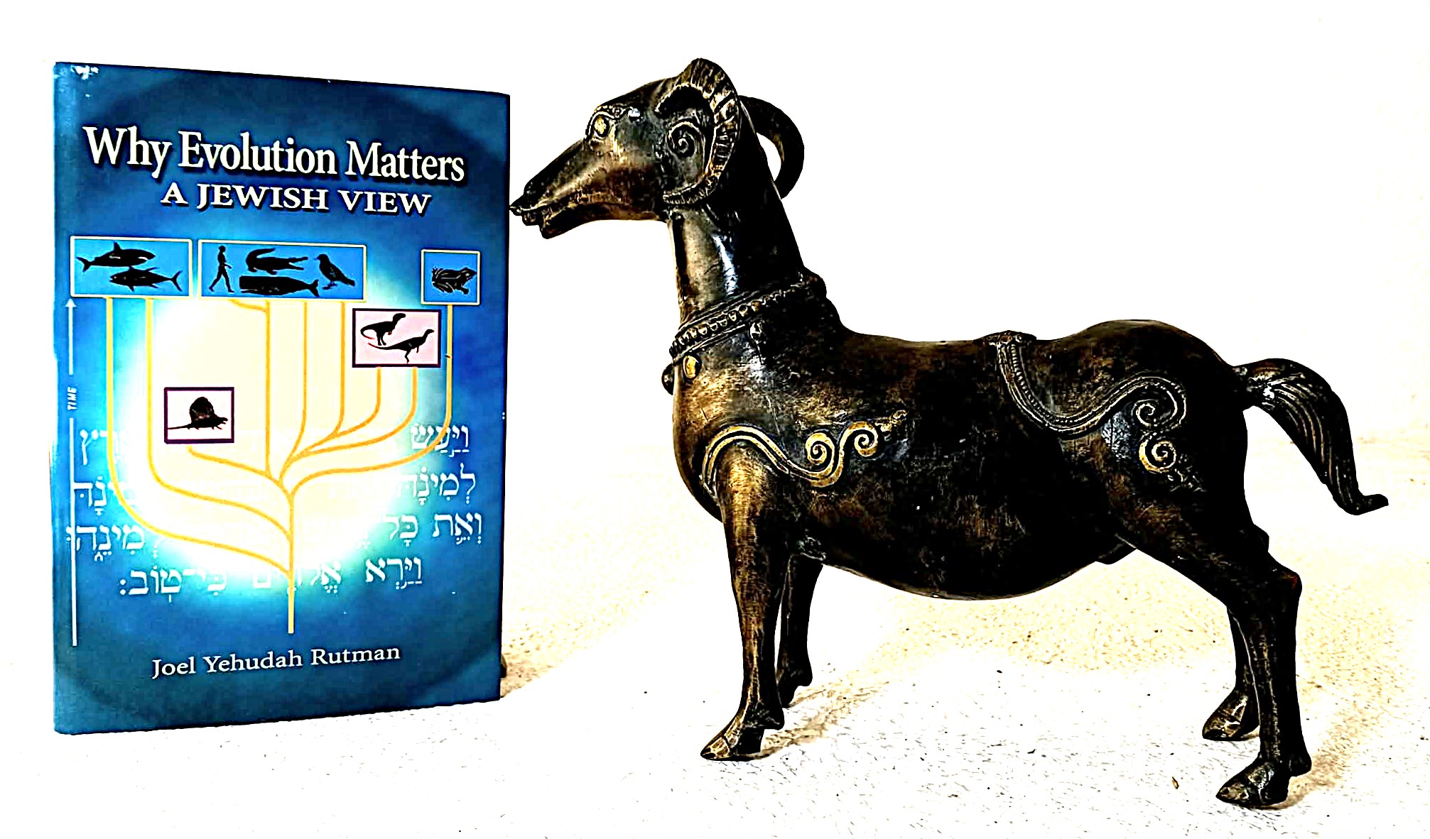 Why Evolution Matters: A Jewish View