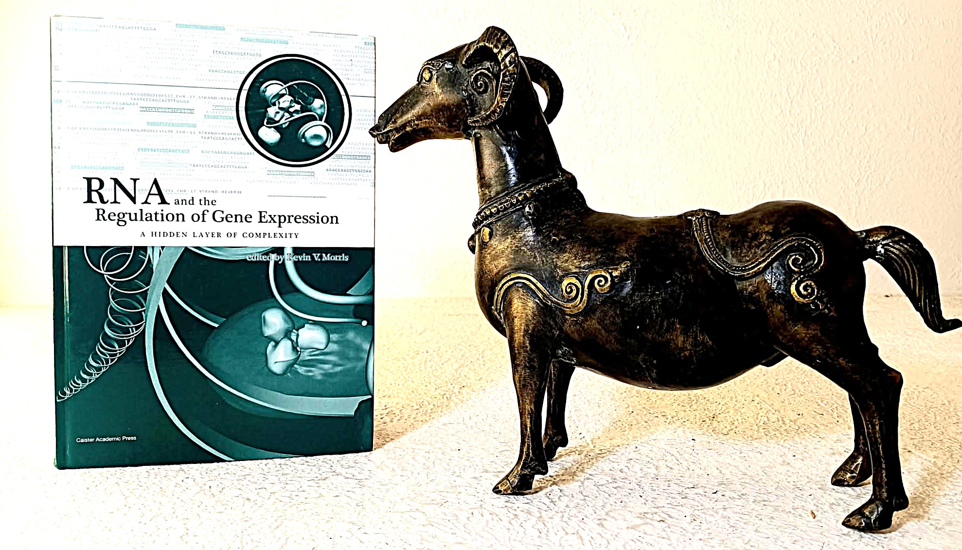 RNA and the Regulation of Gene Expression: a hidden layer of complexity