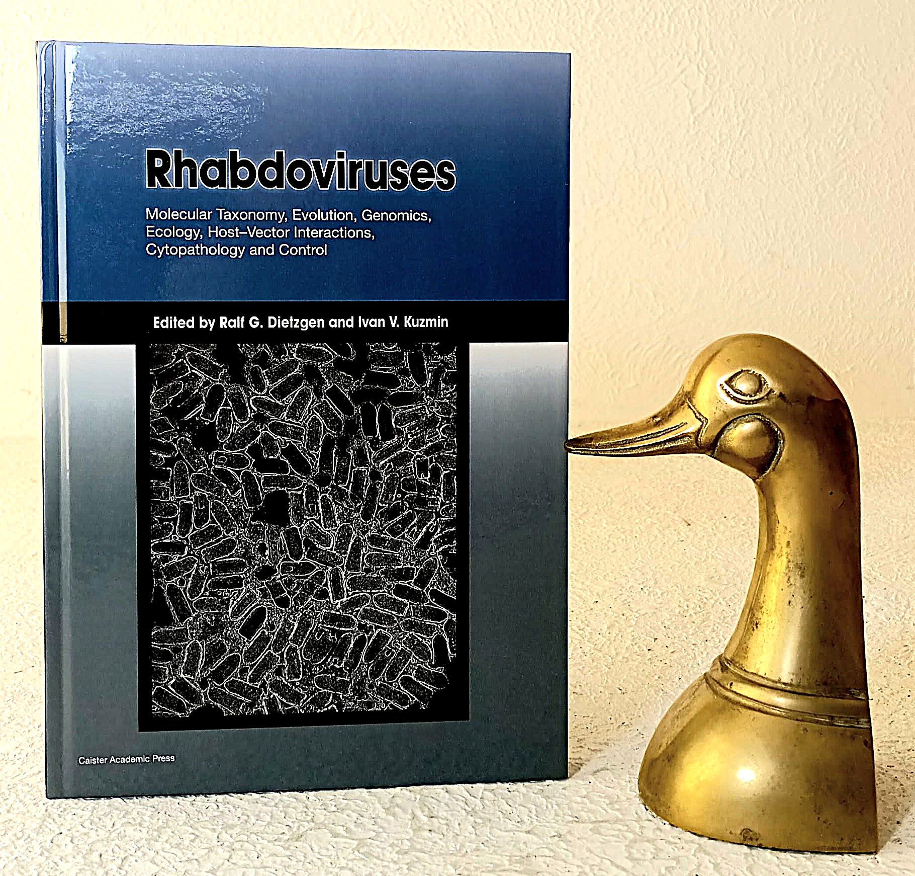 Rhabdoviruses: molecular taxonomy, evolution, genomics, ecology, host-vector interactions, cytopathology and control