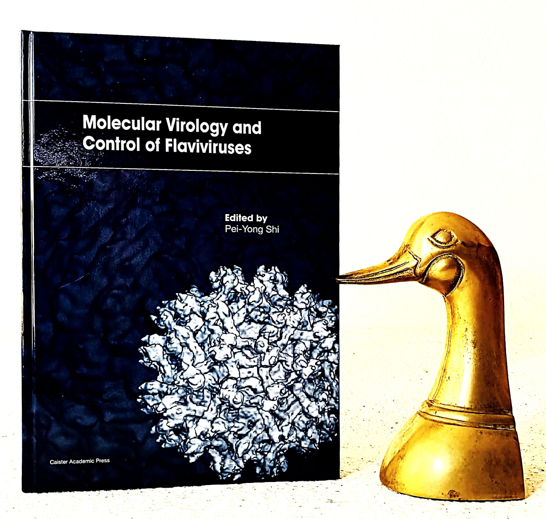 Molecular Virology and Control of Flaviviruses