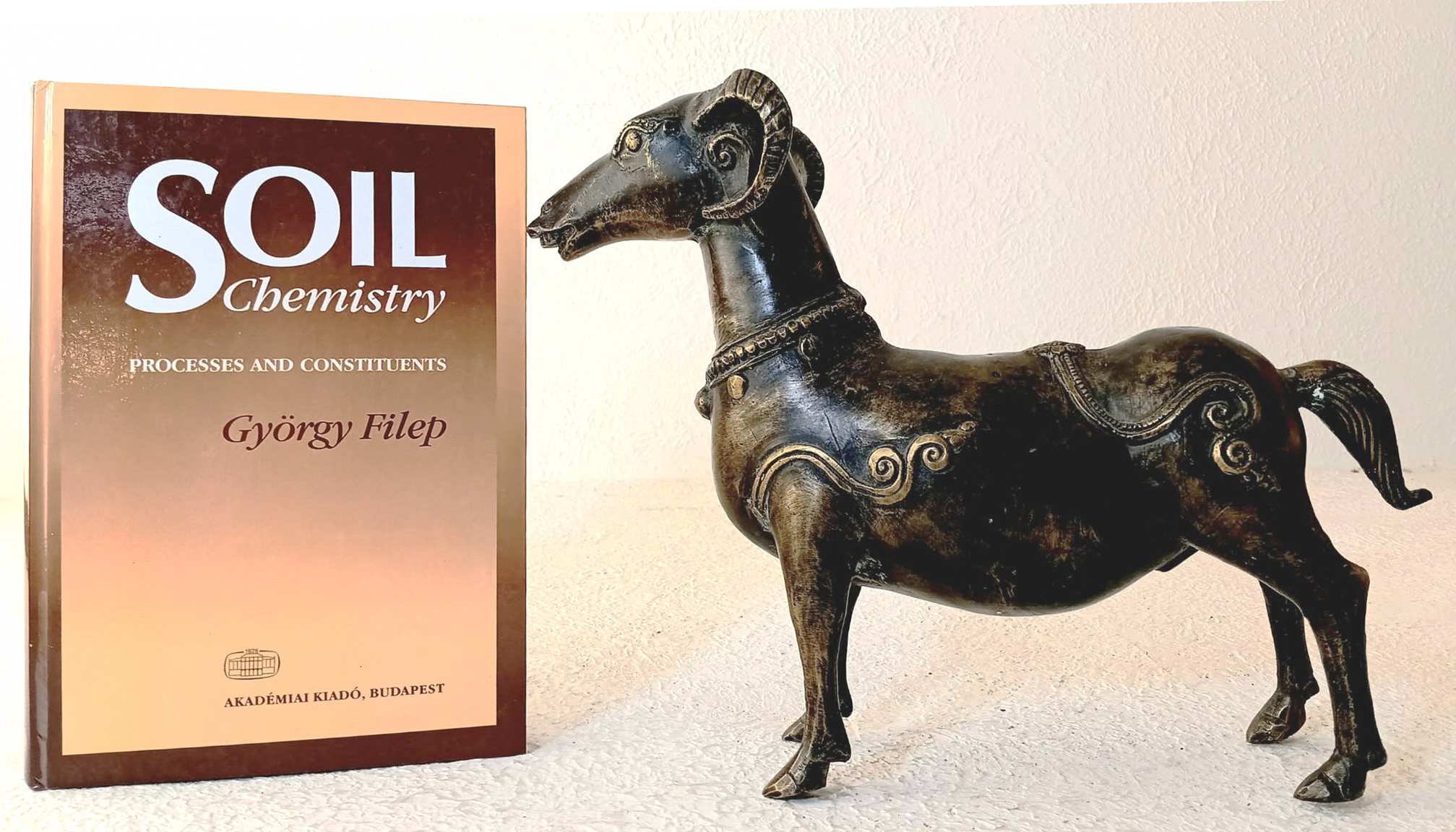 Soil Chemistry: processes and constituents