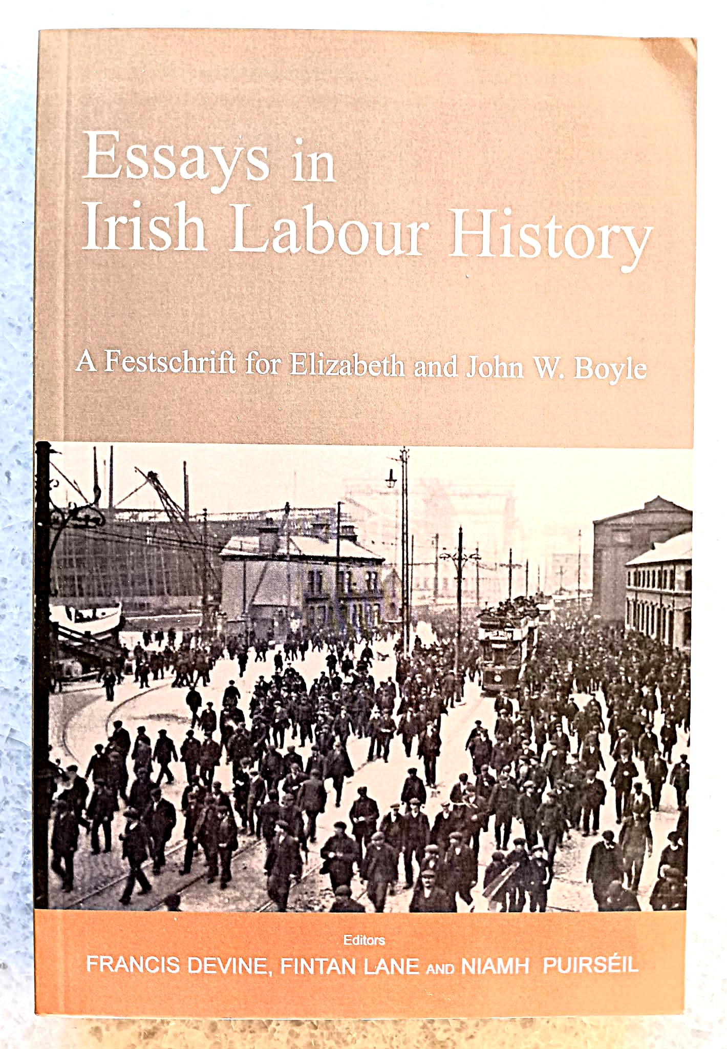 Image for Essays in Irish Labour History: a festschrift for Elizabeth and John W. Boyle Essays in Irish Labour History: a festschrift for Elizabeth and John W. Boyle