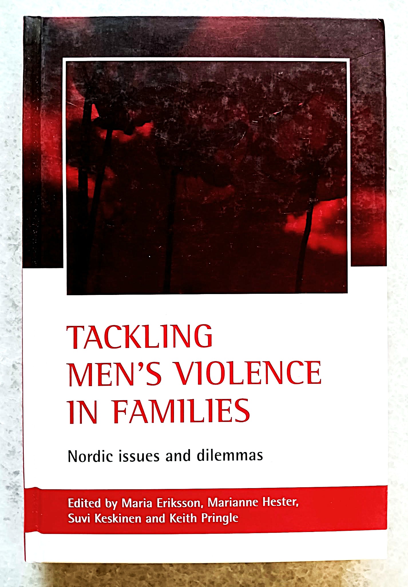 Tackling Men's Violence In Families: Nordic issues and Dilemmas