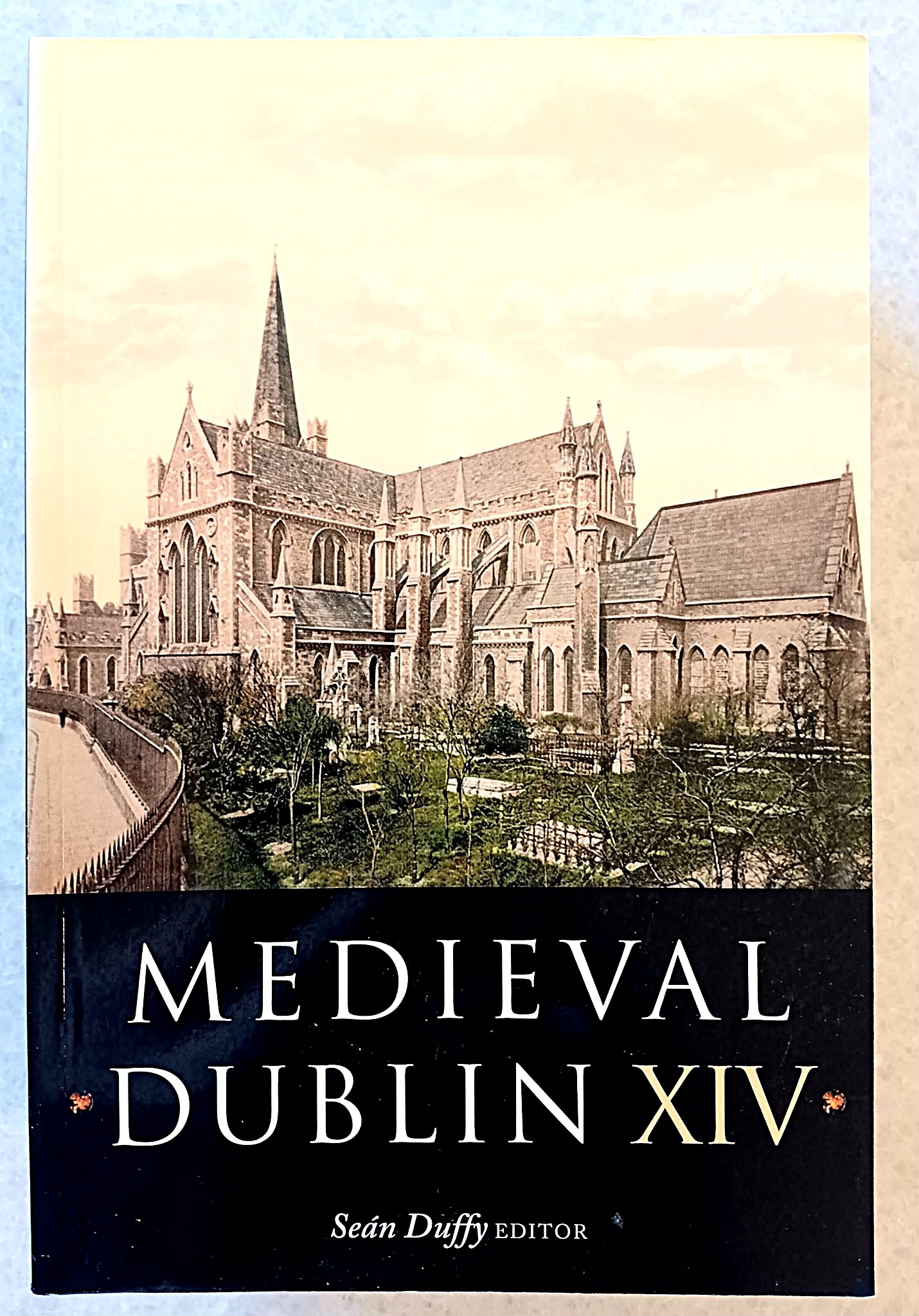 Medieval Dublin XIV: Proceedings of the Friends of Medieval Dublin Symposium 2012