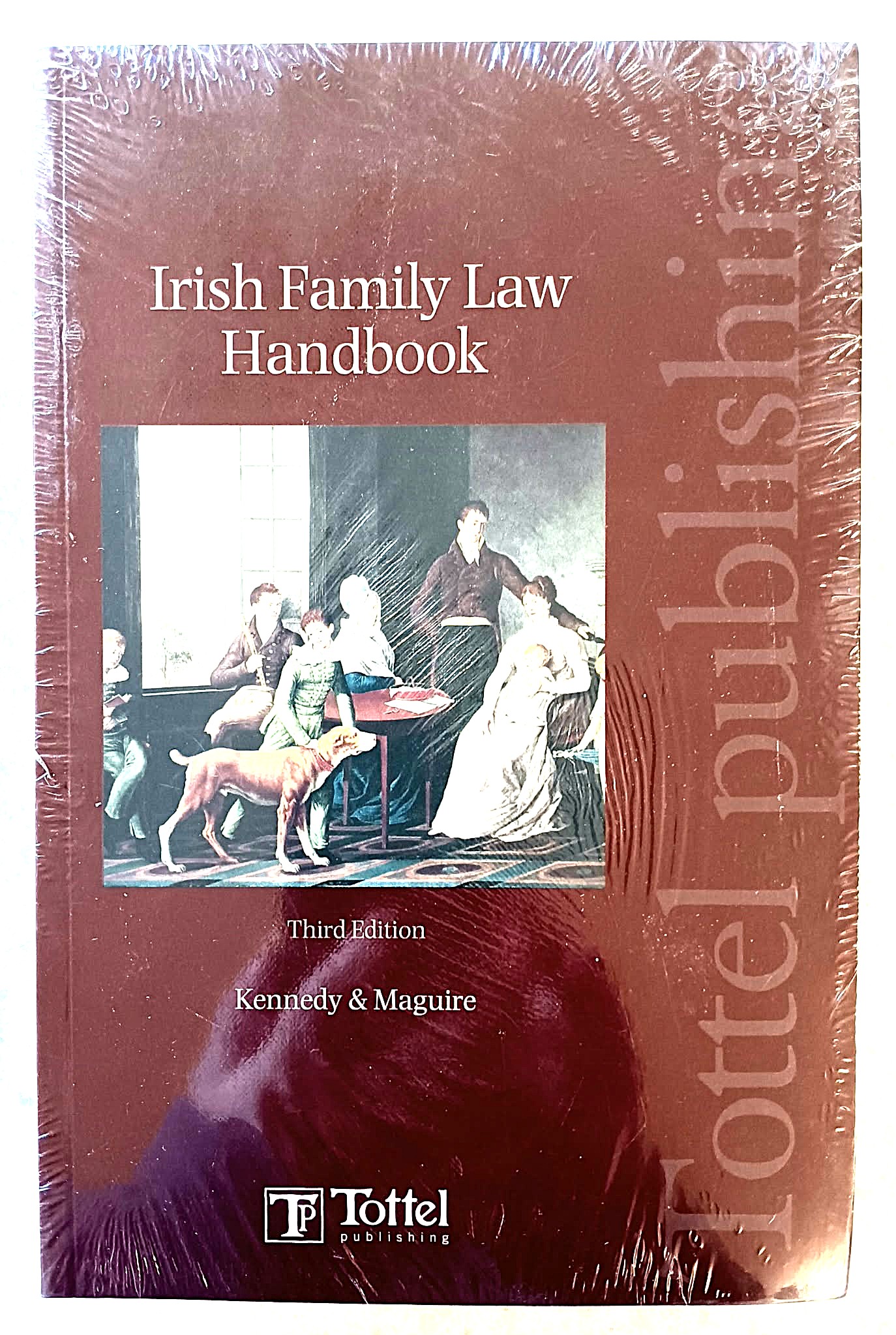 The Irish Family Law Handbook, Third Edition