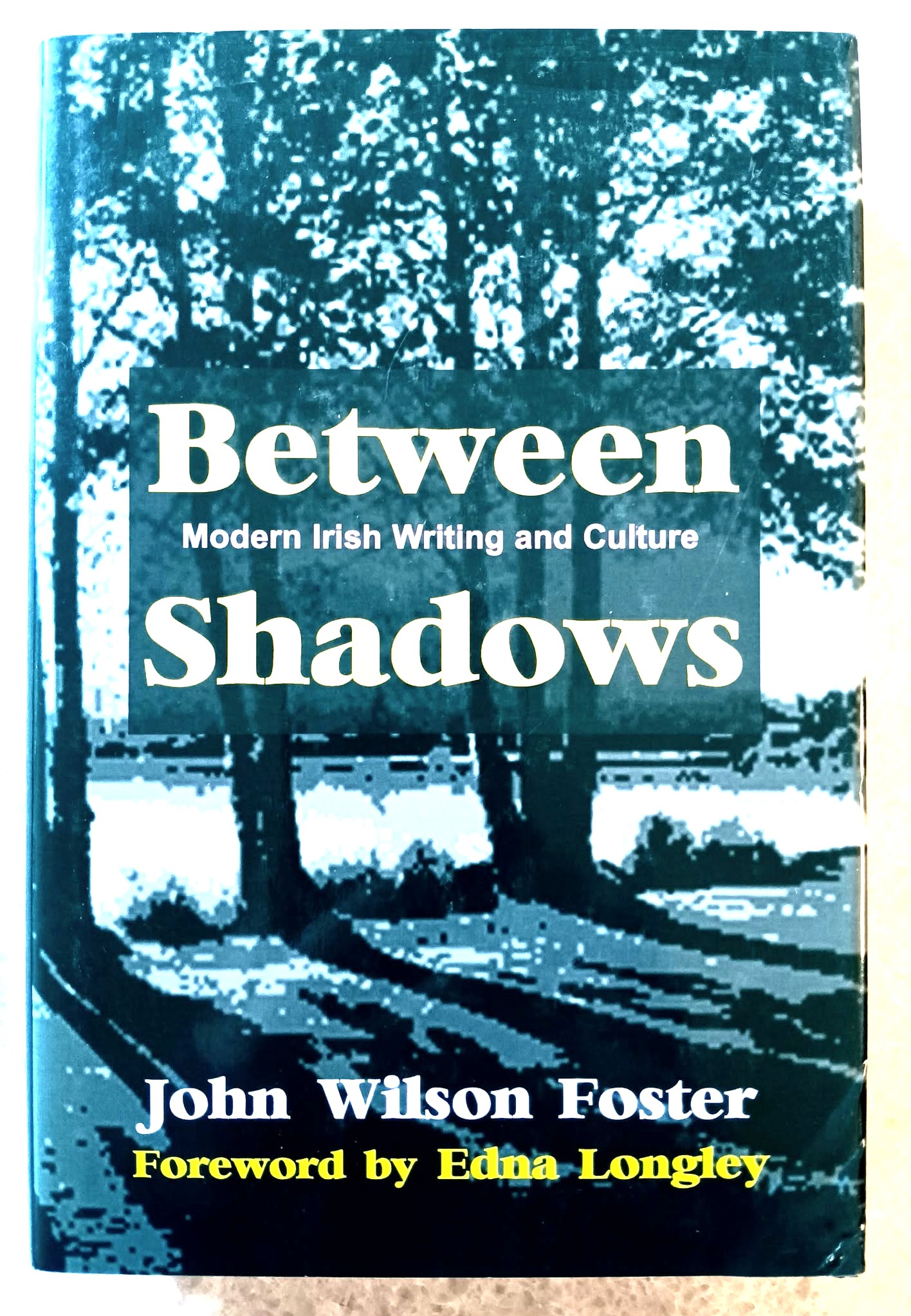 Between Shadows: modern Irish writing and culture