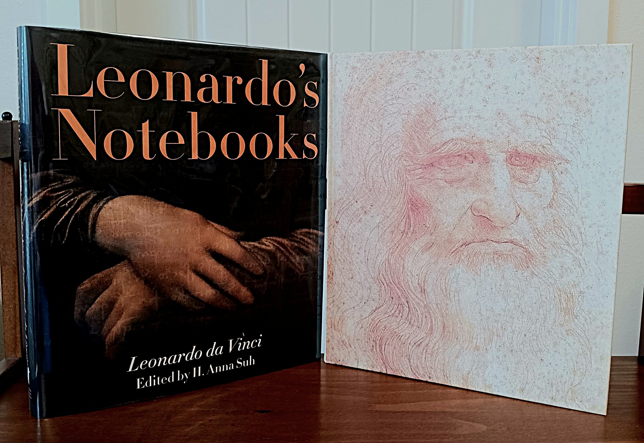 Leonardo's Notebooks