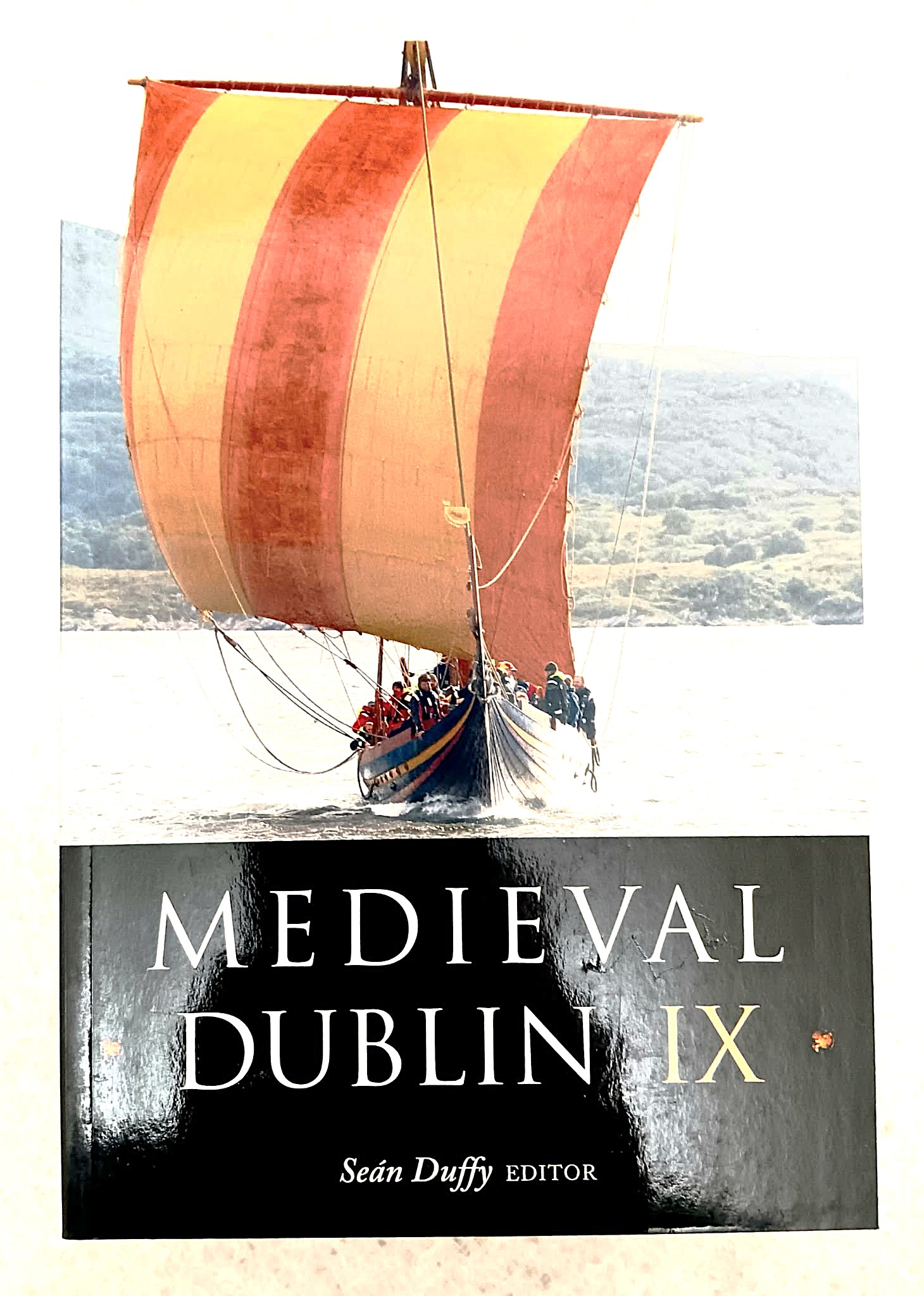 Medieval Dublin IX
