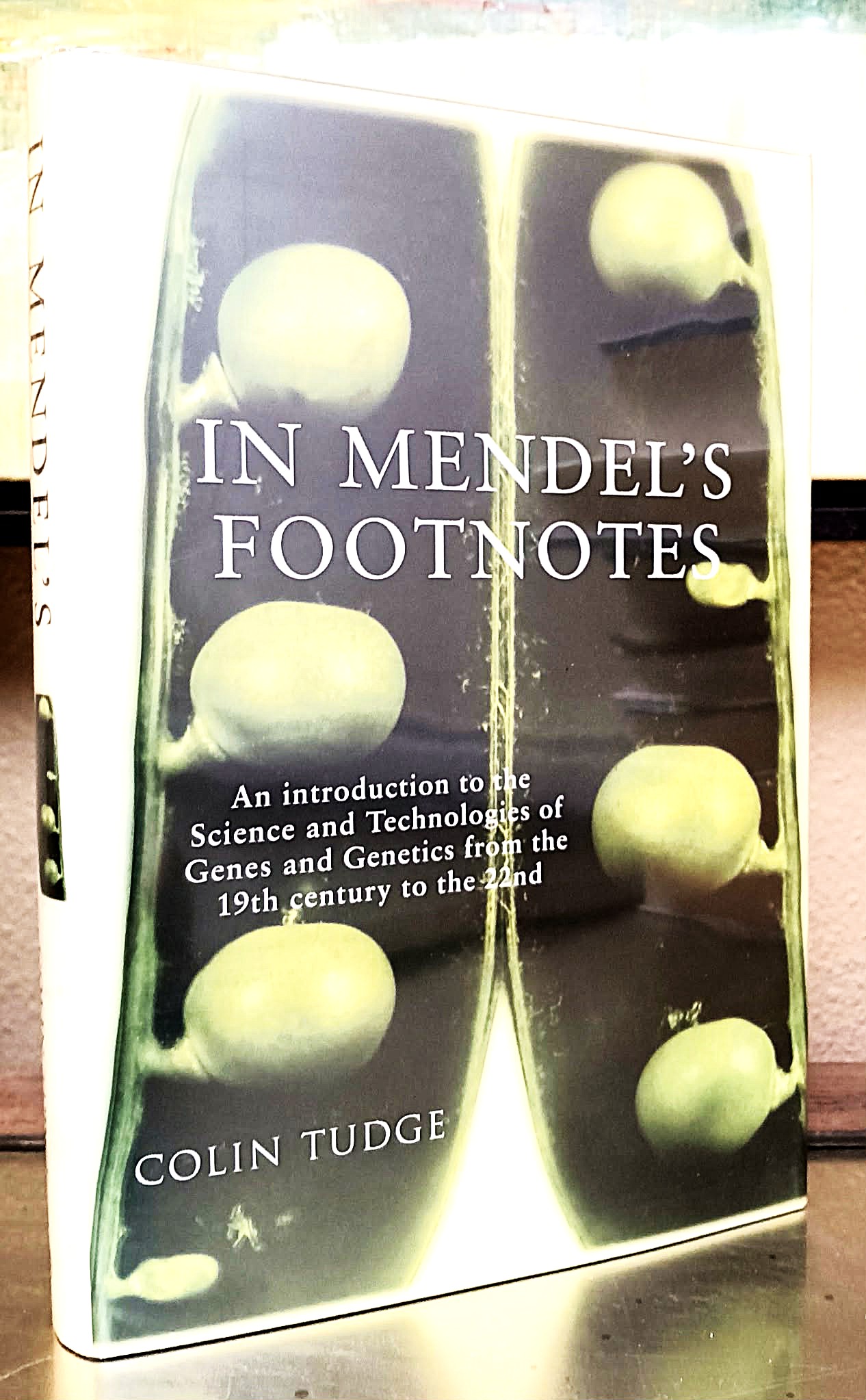 Image for In Mendel's Footnotes In Mendel's Footnotes