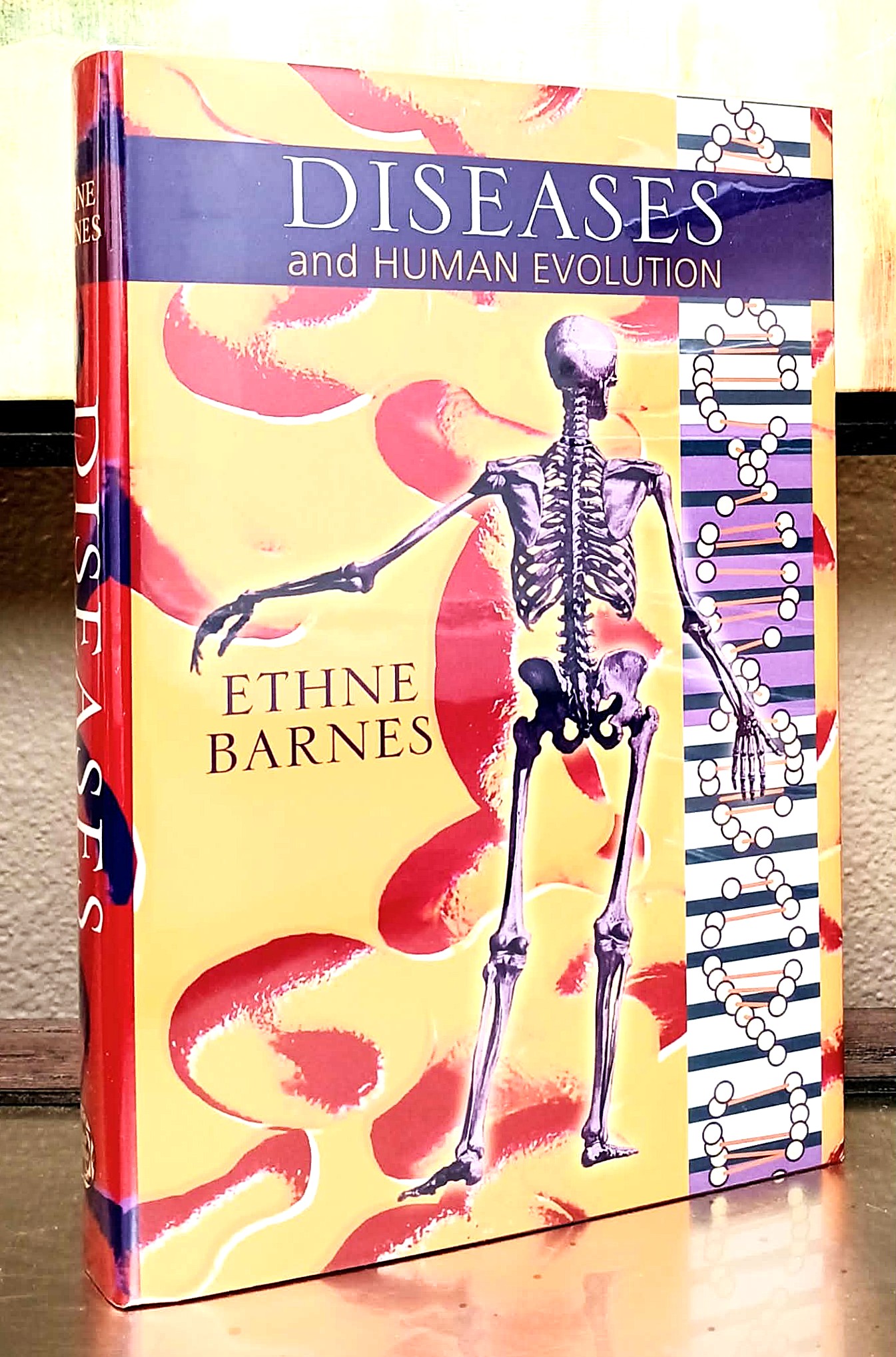 Image for Diseases and Human Evolution Diseases and Human Evolution