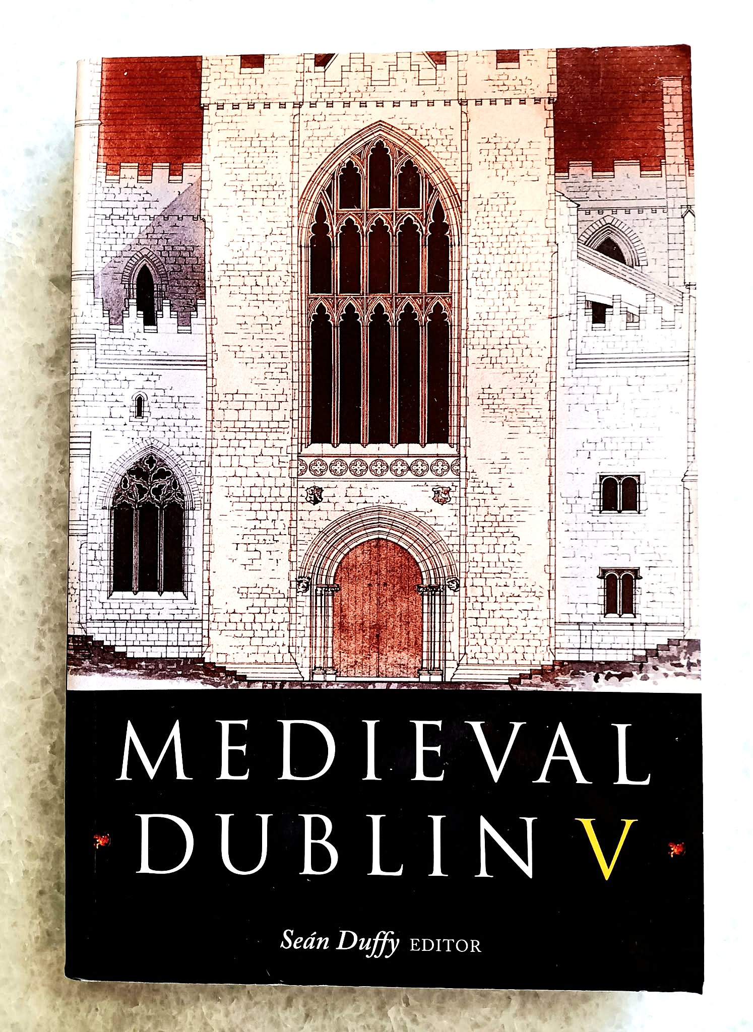 Medieval Dublin V