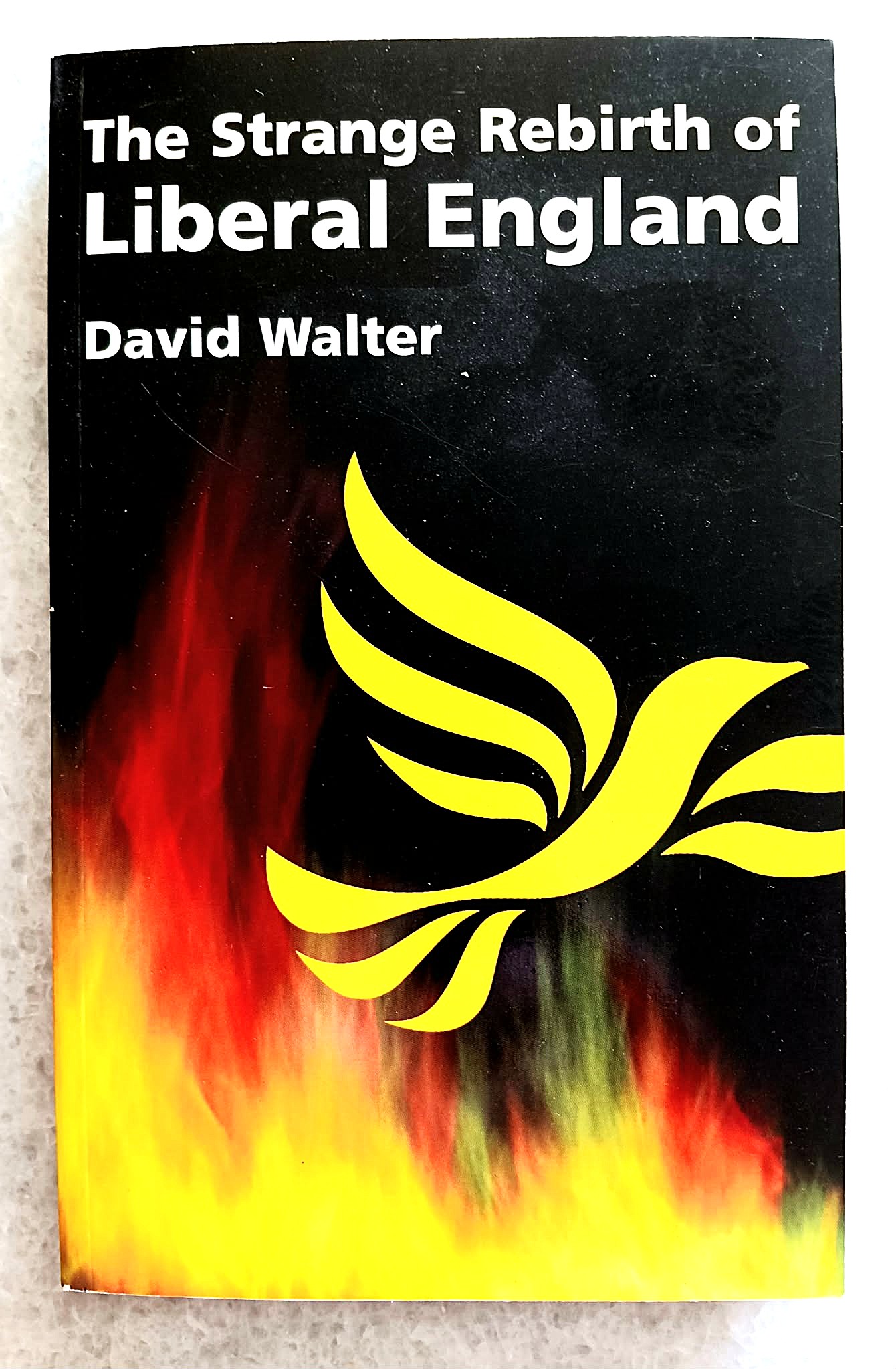 Image for The Strange Rebirth of Liberal England The Strange Rebirth of Liberal England