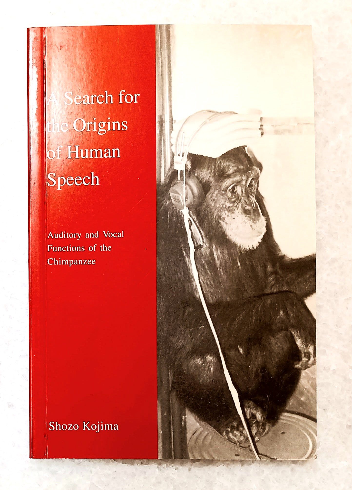 A Search for the Origins of Human Speech: auditory and vocal functions of the chimpanzee