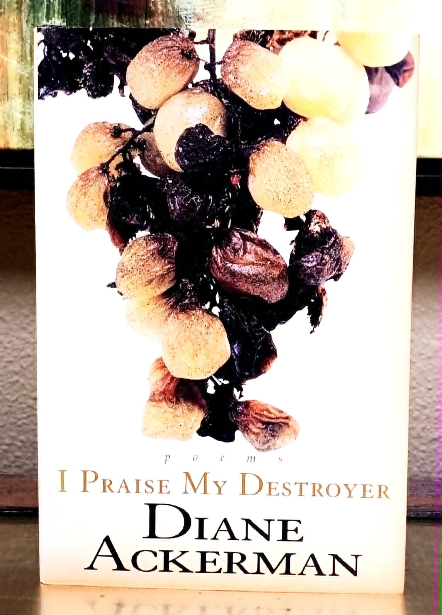 I Praise My Dreams: poems