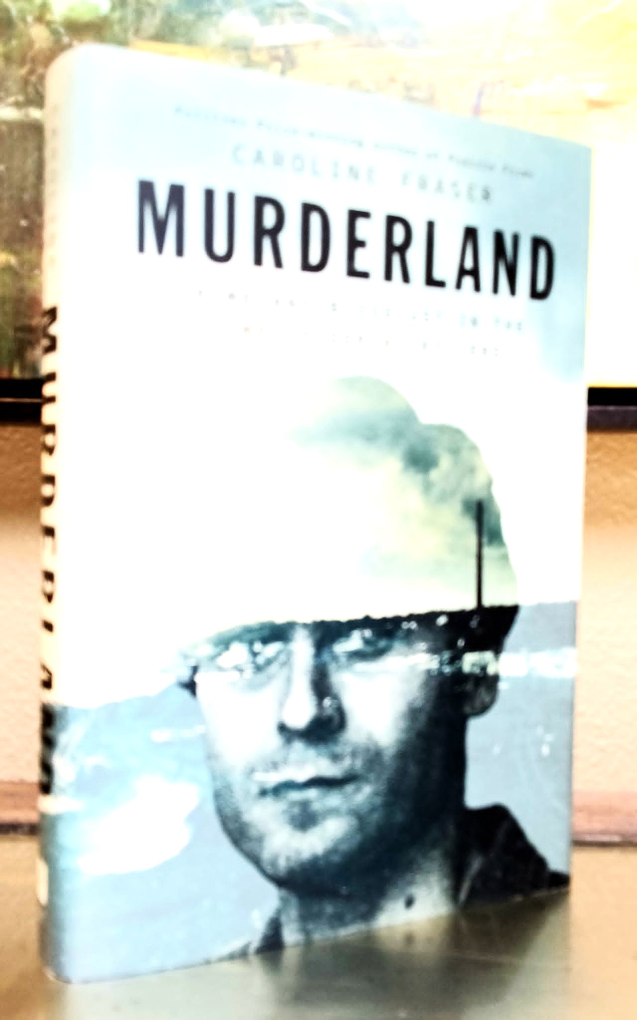 Murderland: crime and bloodlust in the time of serial killers