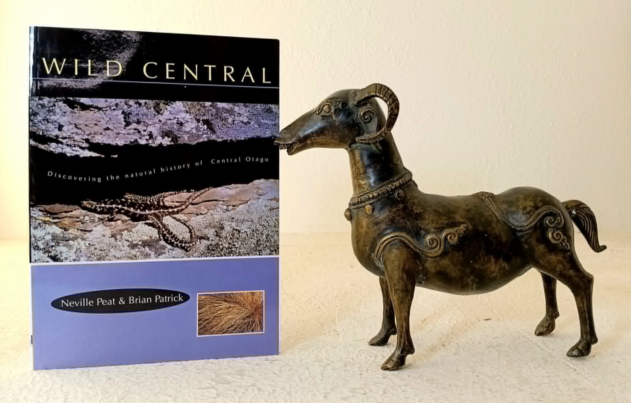 Image for Wild Central Discovering the Natural History of Central Otago Wild Central Discovering the Natural History of Central Otago