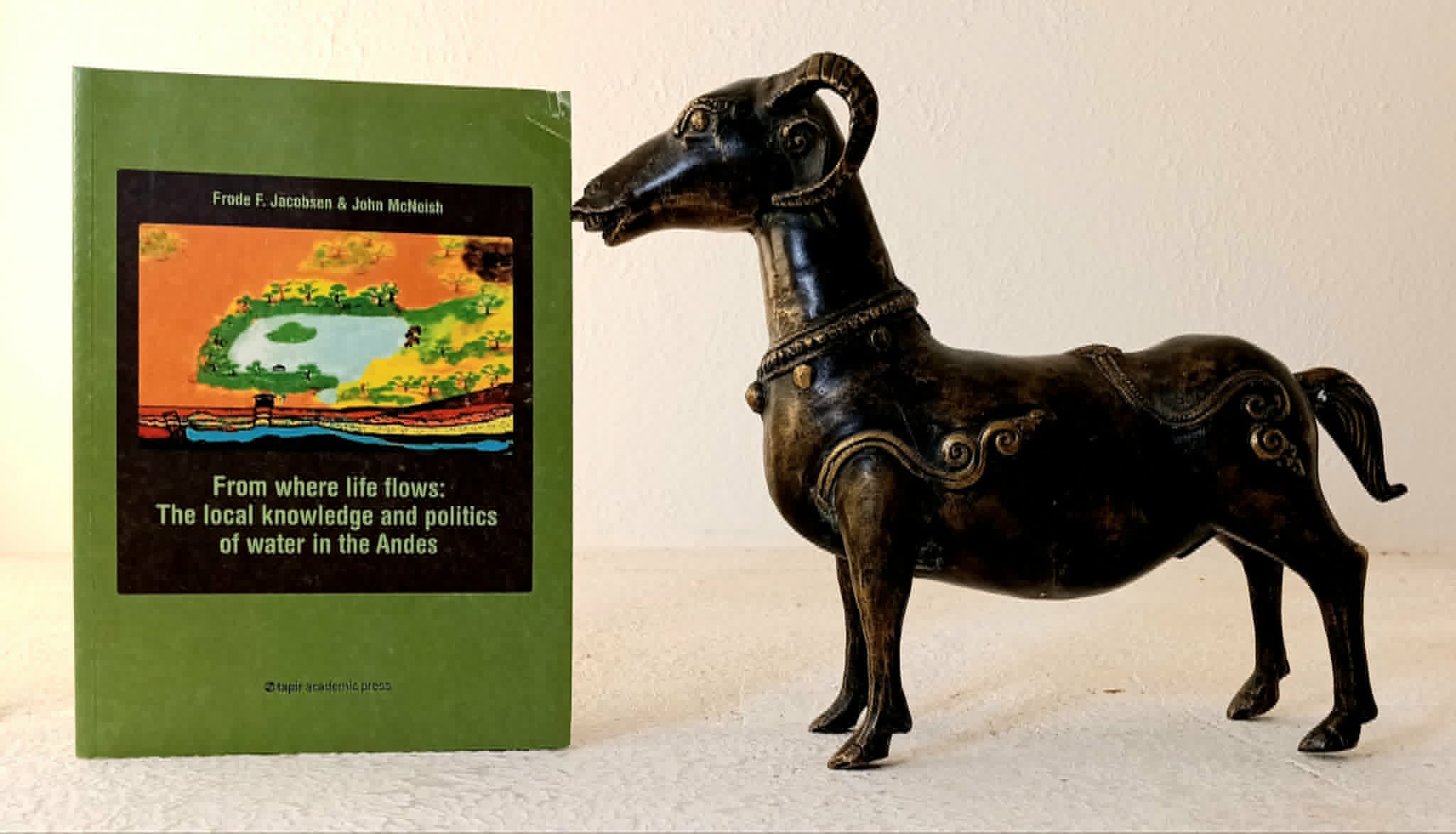 Image for From Where Life Flows: the local knowledge and politics of water in the Andes From Where Life Flows: the local knowledge and politics of water in the Andes