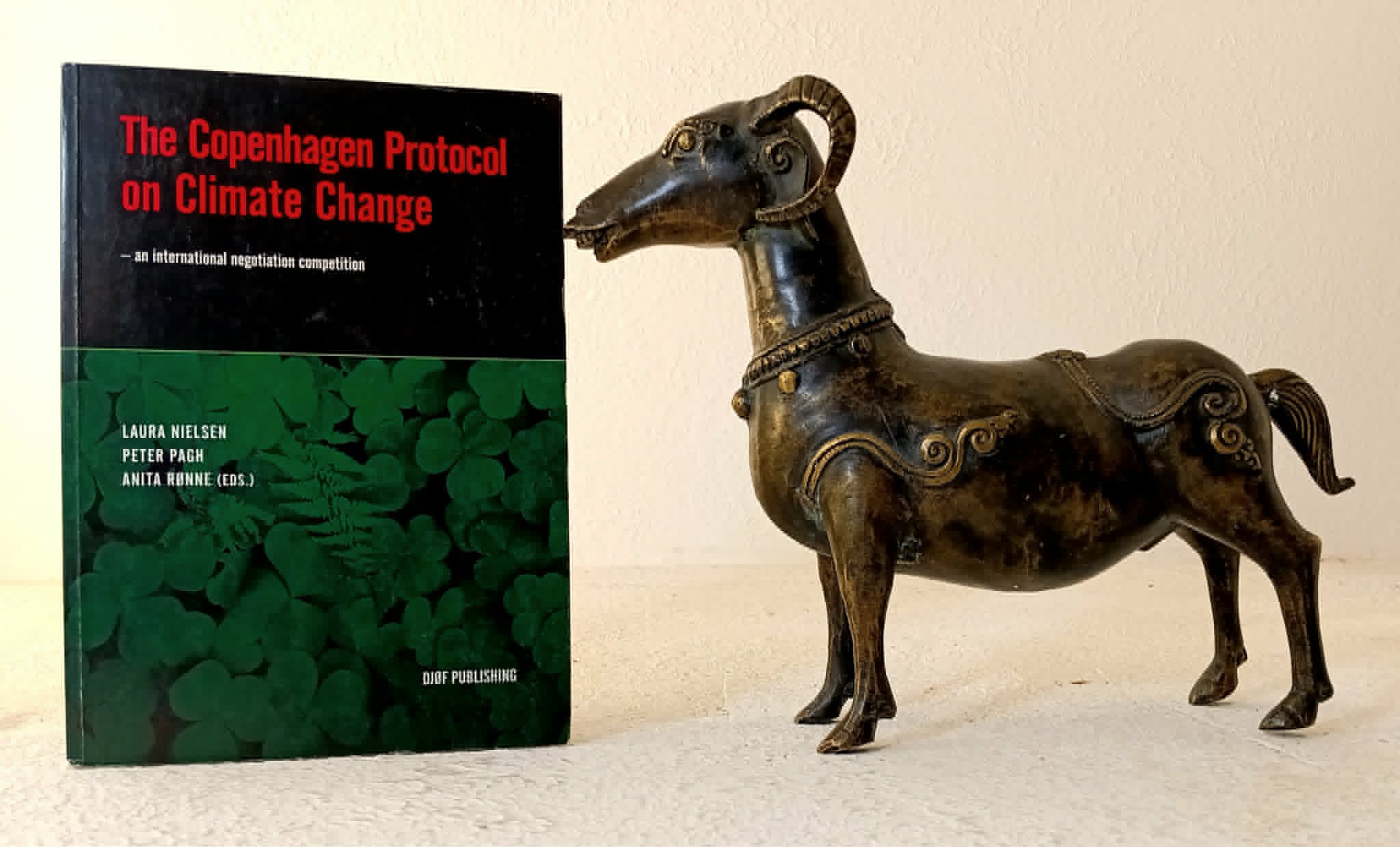 Image for The Copenhagen Protocol on Climate Change The Copenhagen Protocol on Climate Change