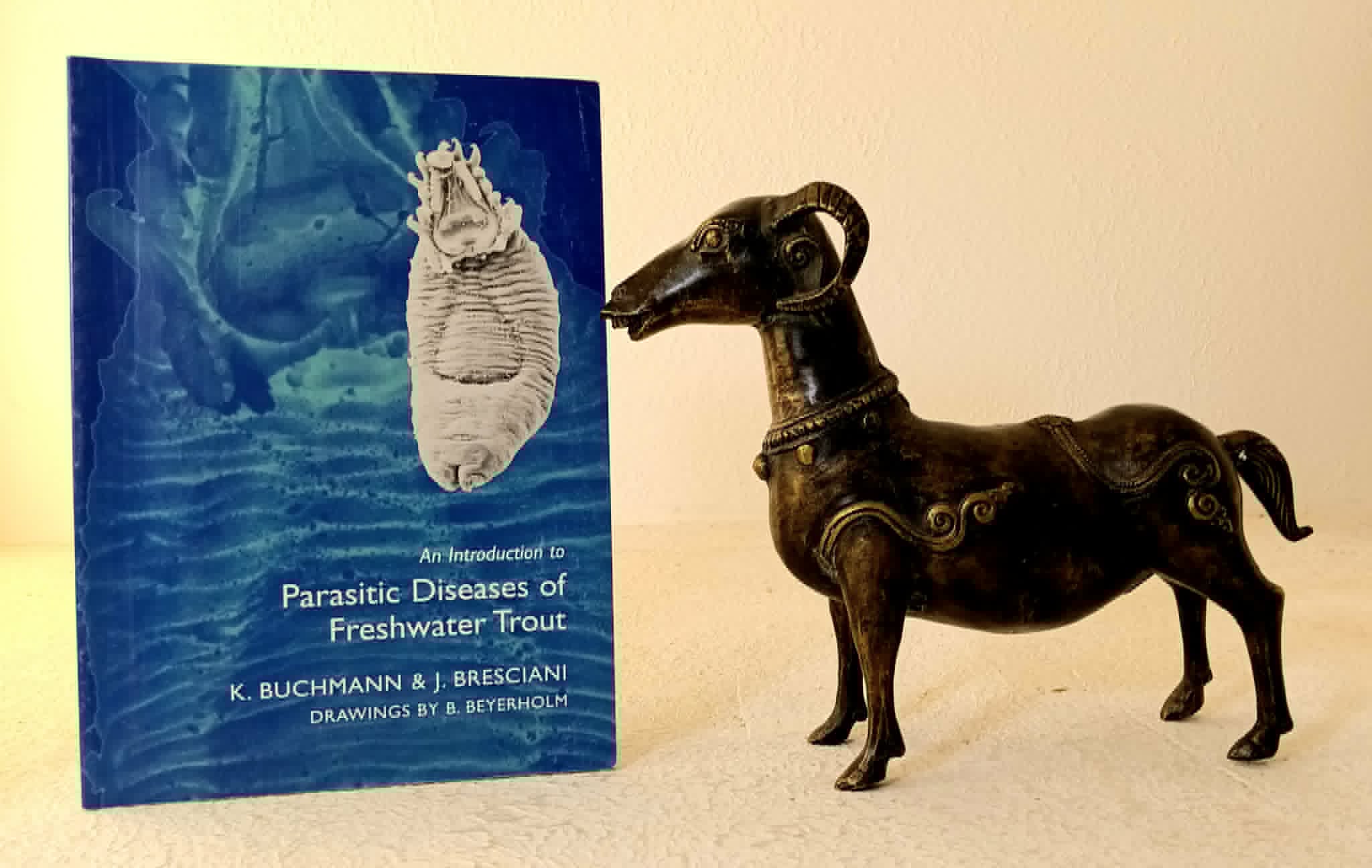 Image for An Introduction to Parasitic Diseases of Freshwater Trout An Introduction to Parasitic Diseases of Freshwater Trout