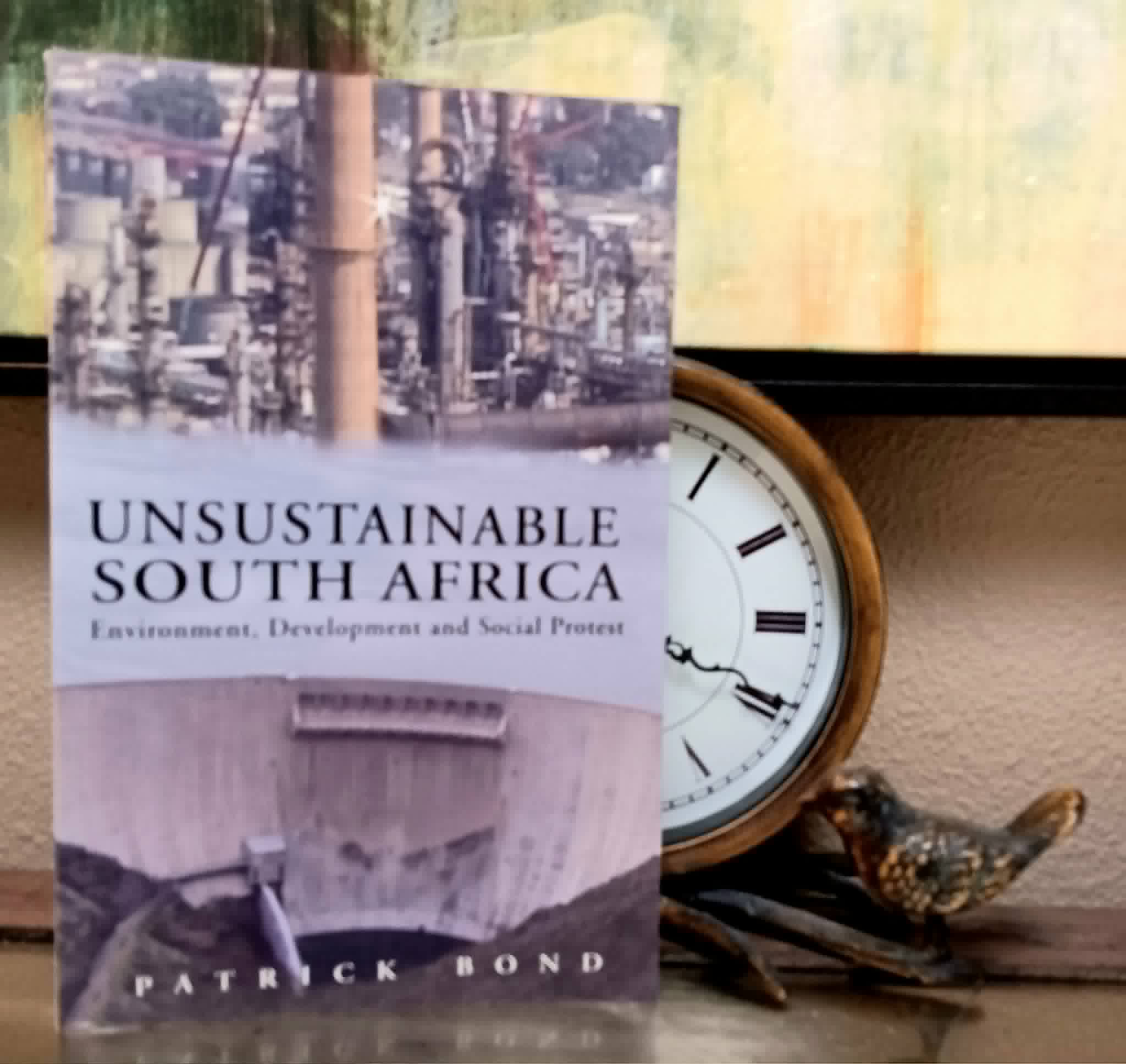 Unsustainable South Africa: environment, development and social protest