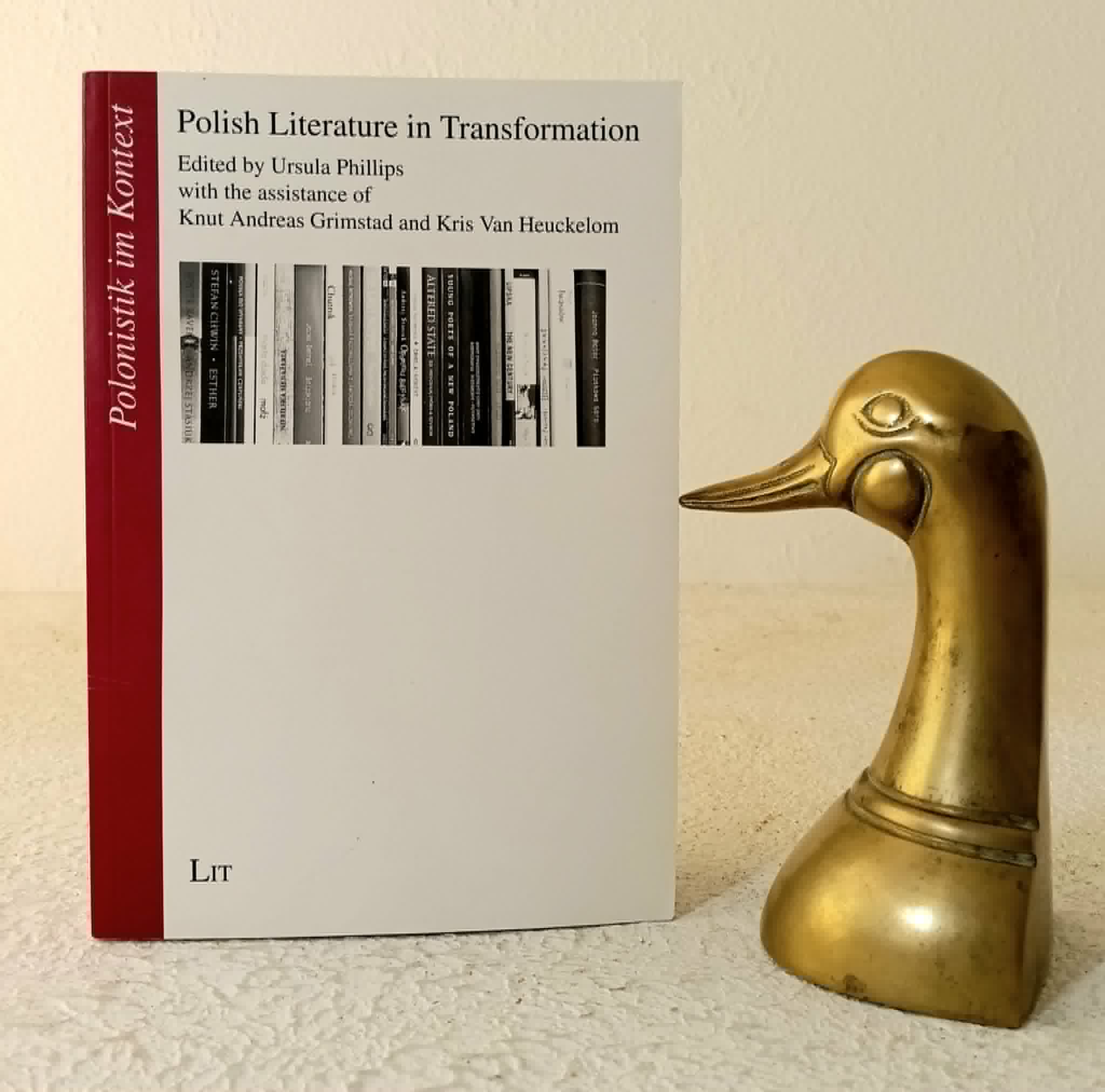 Image for Polish Literature in Transformation Polish Literature in Transformation