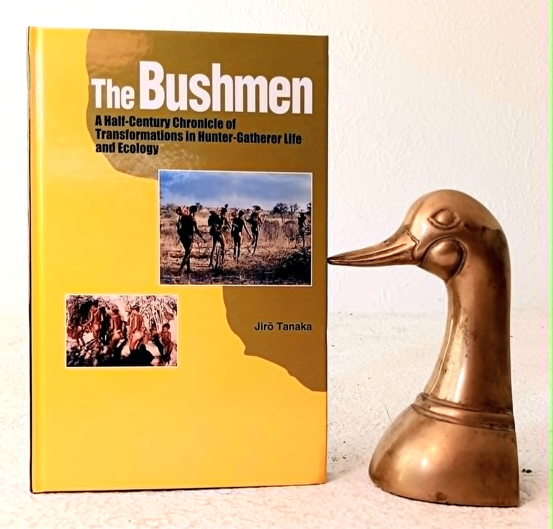 Image for The Bushmen: A Half-Century Chronicle of Transformations in Hunter-Gatherer Life and Ecology The Bushmen: A Half-Century Chronicle of Transformations in Hunter-Gatherer Life and Ecology