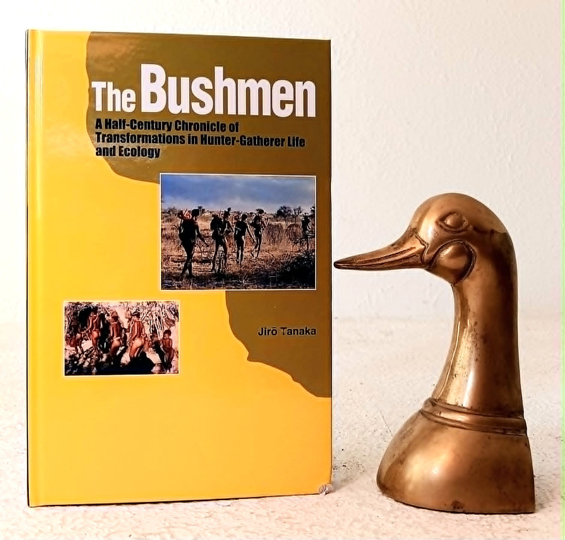 Image for The Bushmen: A Half-Century Chronicle of Transformations in Hunter-Gatherer Life and Ecology The Bushmen: A Half-Century Chronicle of Transformations in Hunter-Gatherer Life and Ecology