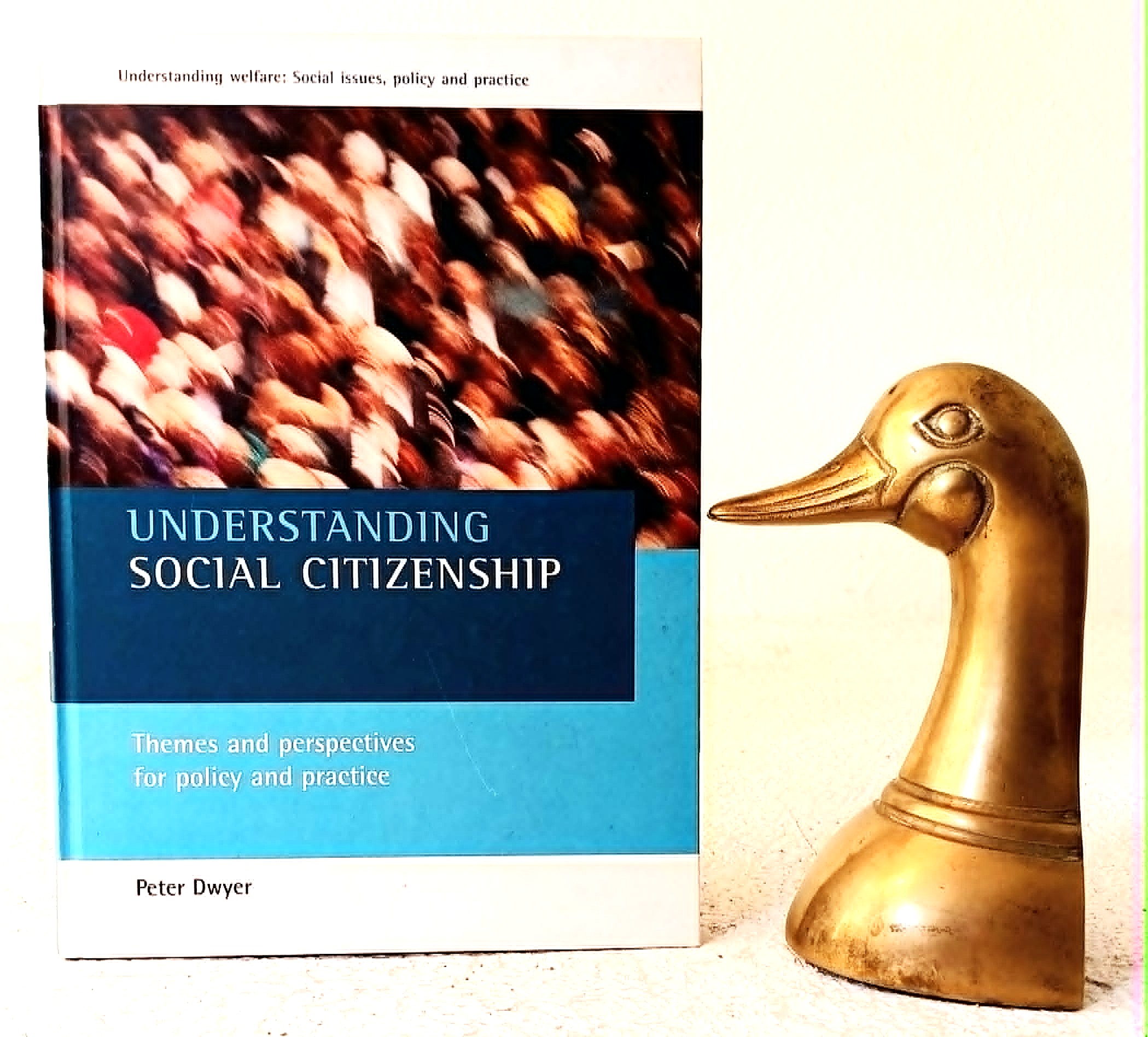 Understanding social citizenship: Themes and perspectives for policy and practice