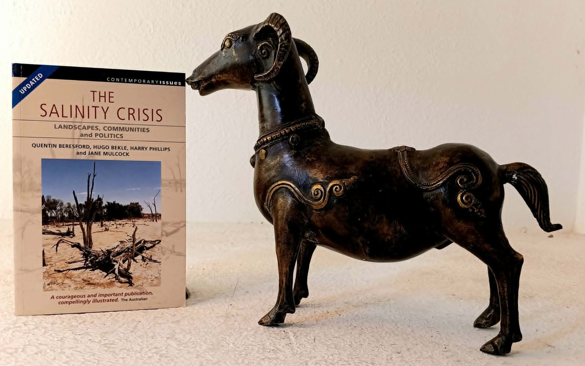 Image for The Salinity Crisis: Landscapes, Communities and Politics The Salinity Crisis: Landscapes, Communities and Politics