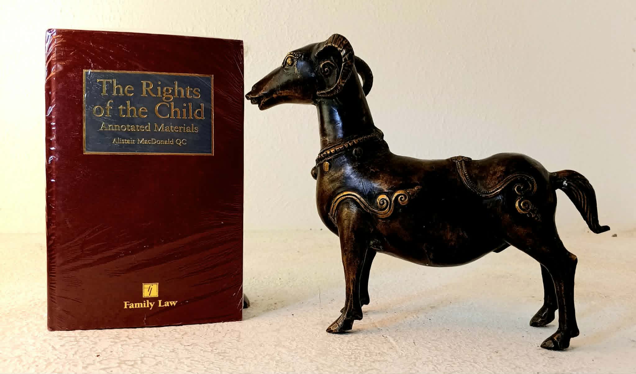 Image for Rights of the Child: Annotated Materials Rights of the Child: Annotated Materials