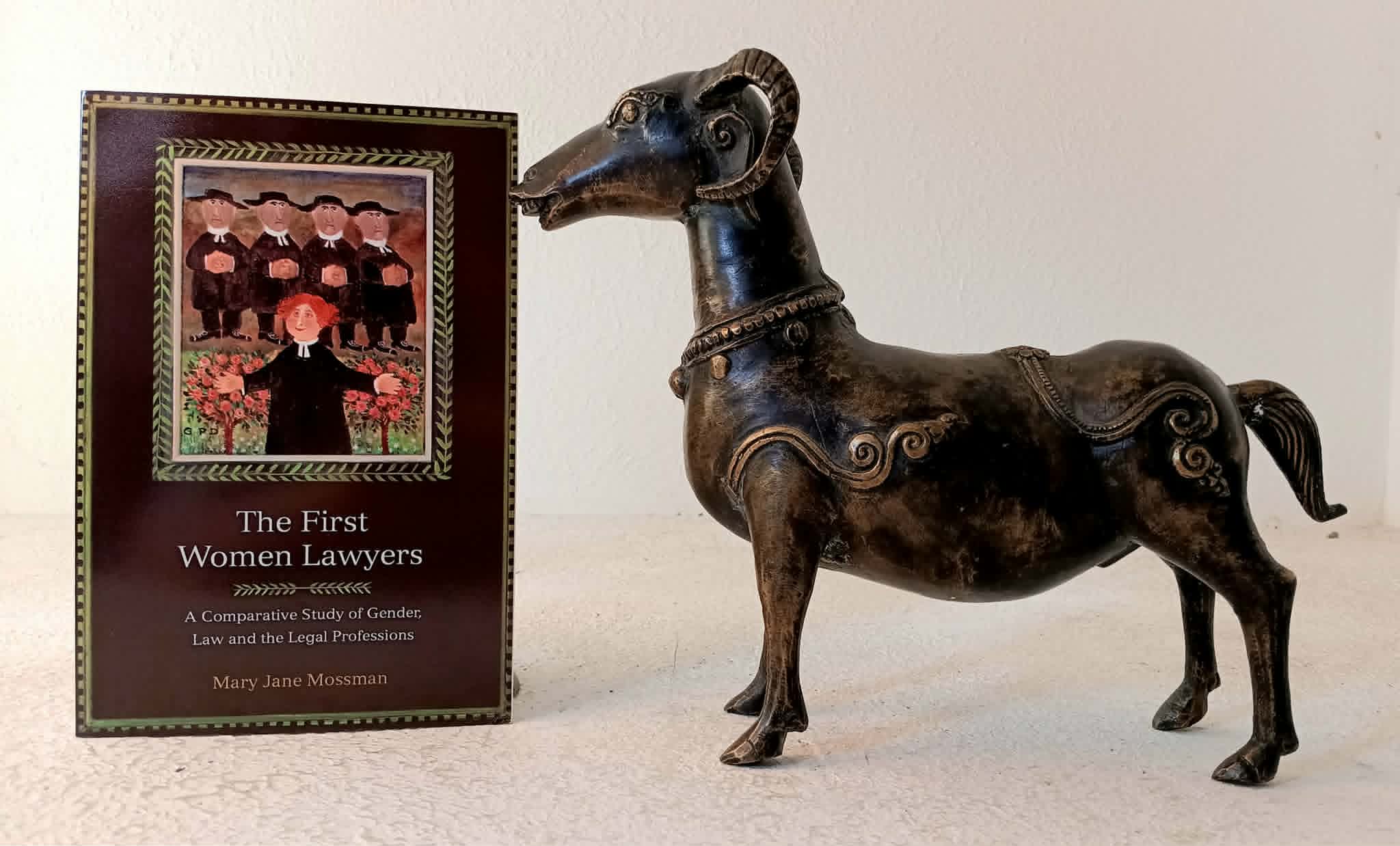 Image for The First Women Lawyers: A Comparative Study of Gender, Law and the Legal Professions The First Women Lawyers: A Comparative Study of Gender, Law and the Legal Professions