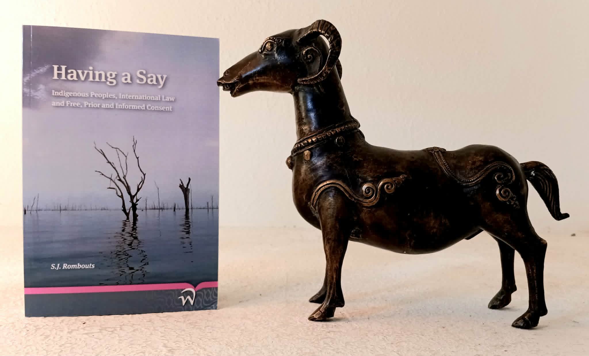 Having a Say: Indigenous Peoples, International Law and Free, Prior and Informed Consent