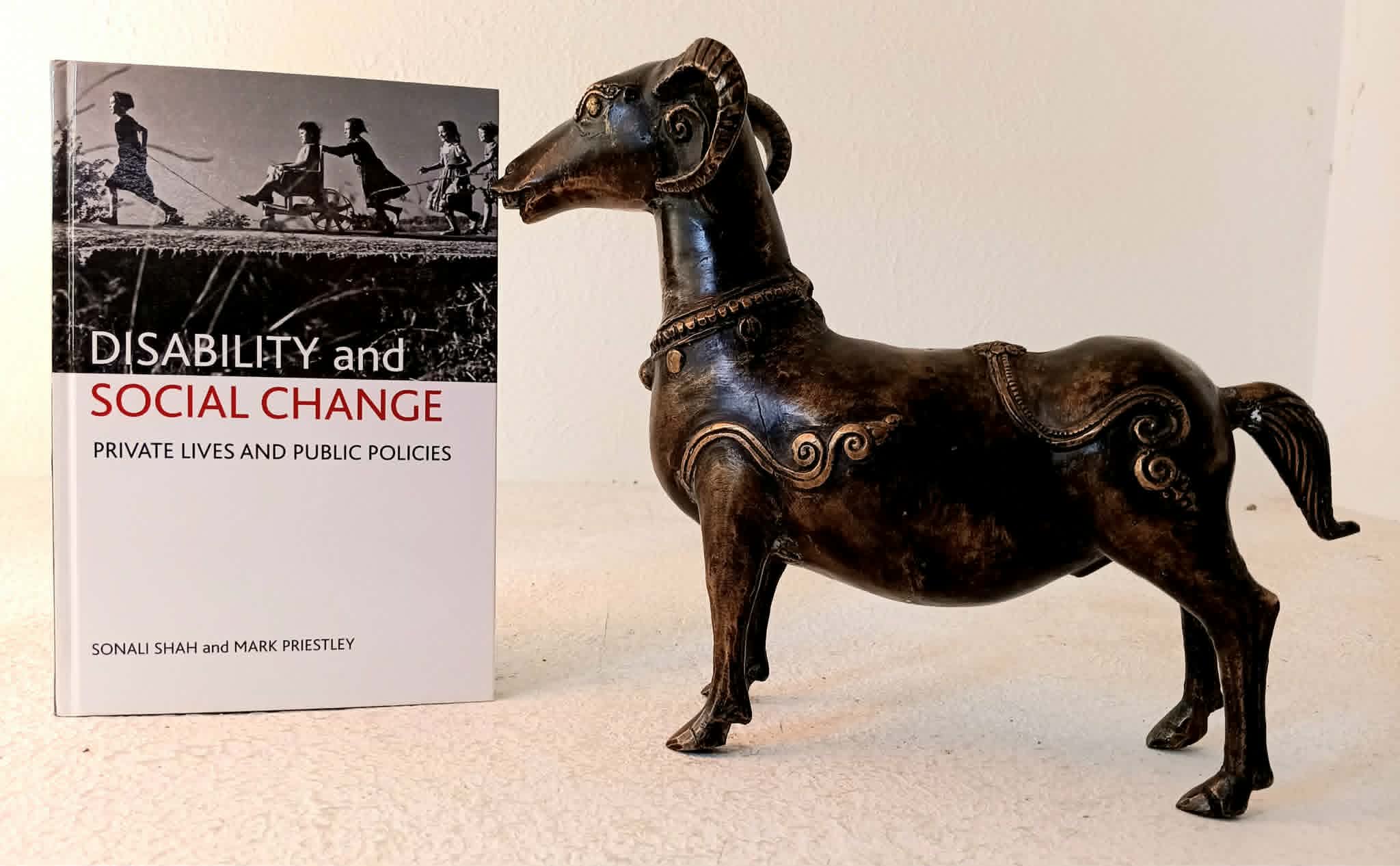 Image for Disability and Social Change: private lives and public policies Disability and Social Change: private lives and public policies