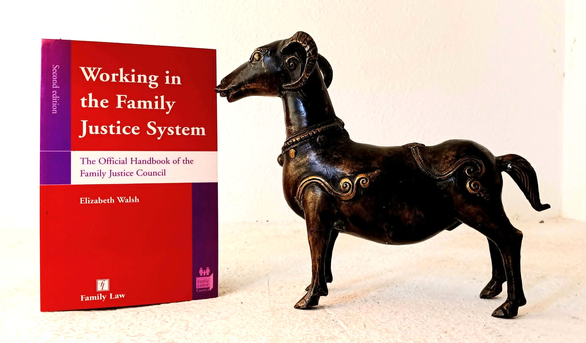Working in the Family Justice System: The Official Handbook of the Family Justice Council