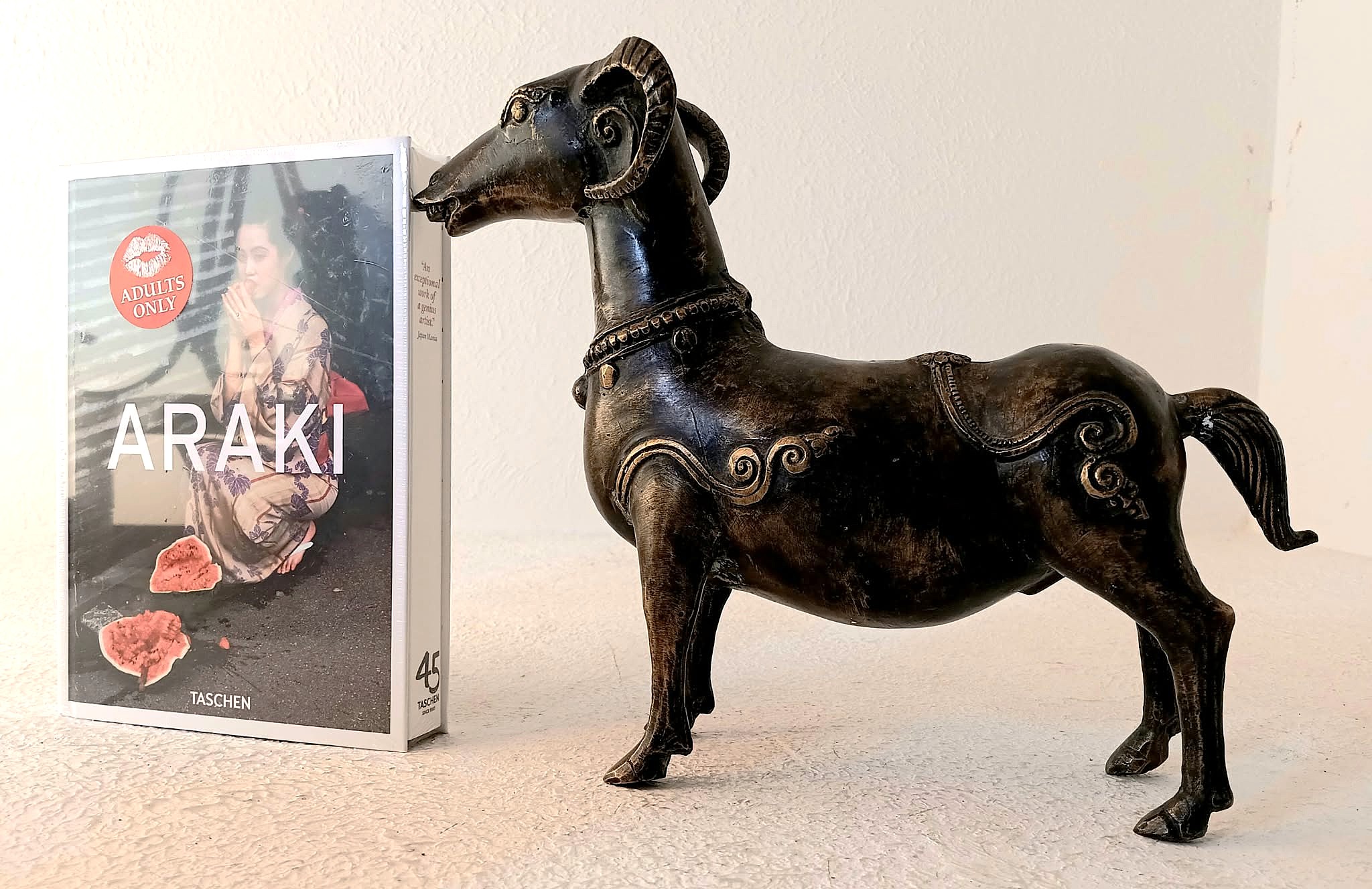 Image for Araki, 45th Edition Araki, 45th Edition